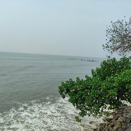 Coastal Den Homestay Pallipuram المظهر الخارجي الصورة