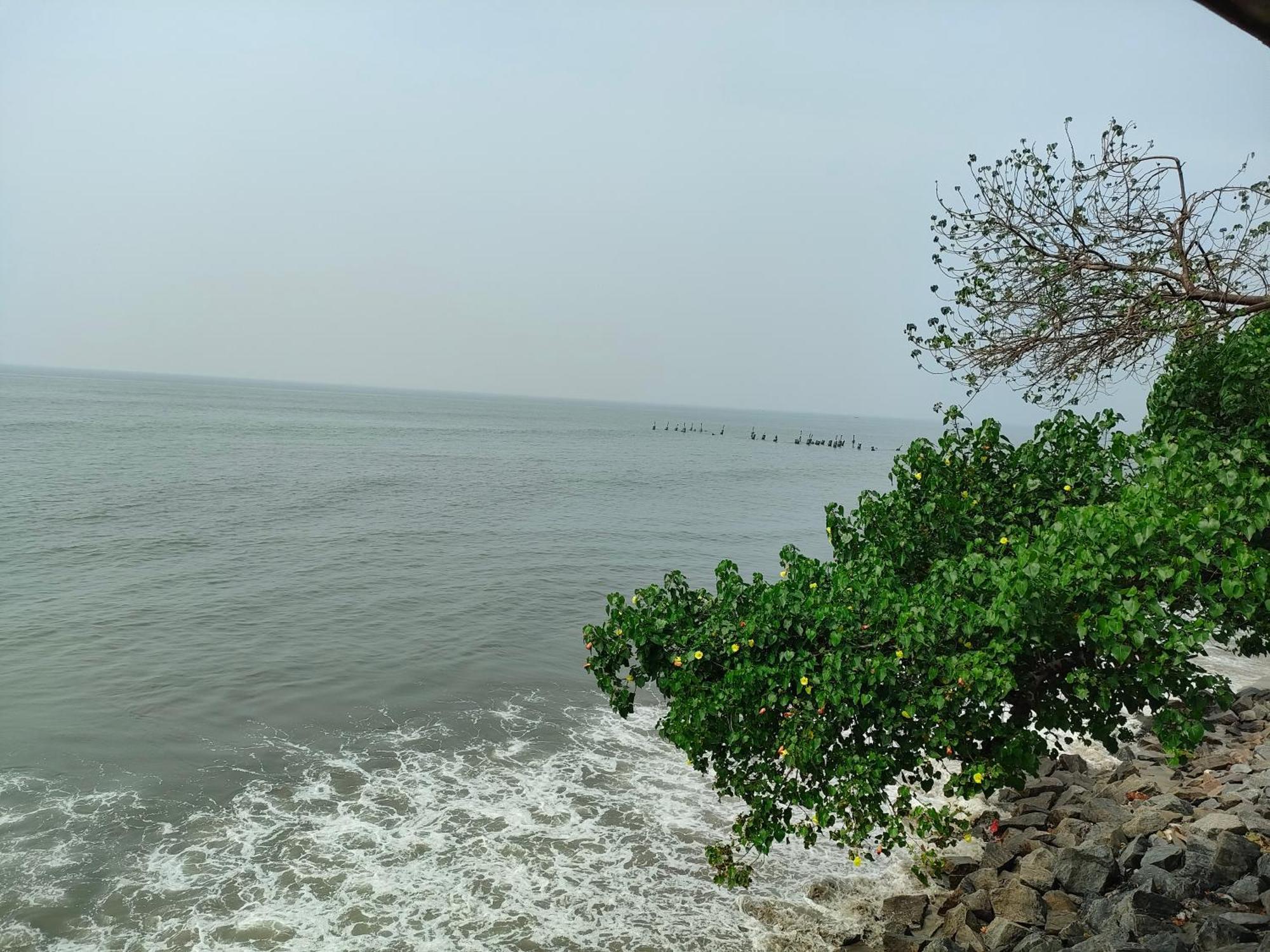 Coastal Den Homestay Pallipuram المظهر الخارجي الصورة